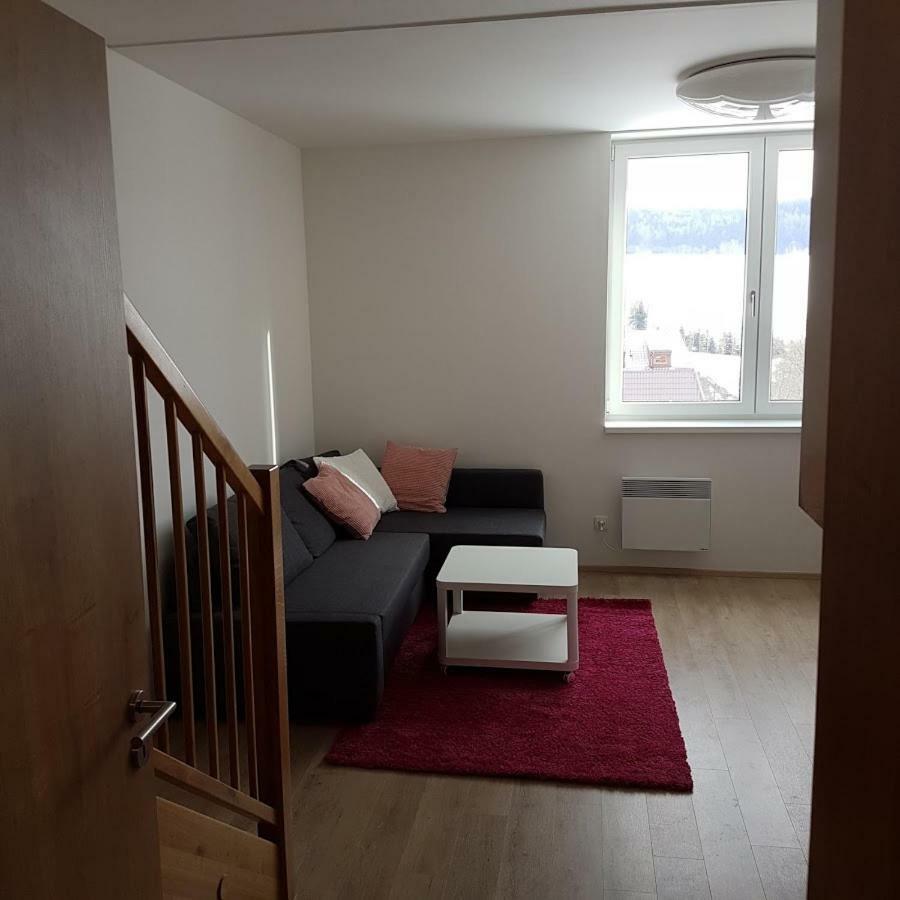 Apartmany Dolní Morava Buitenkant foto