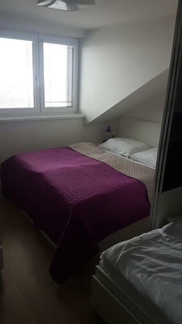 Apartmany Dolní Morava Buitenkant foto